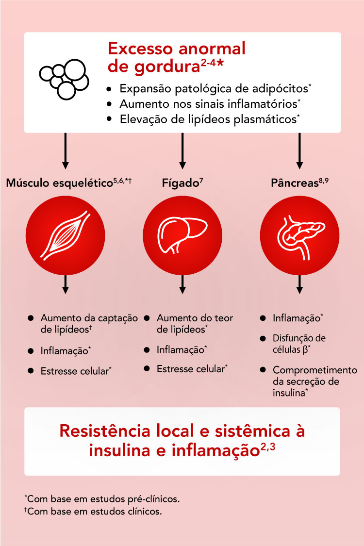 A imagem é um infográfico abrangente em português sobre o excesso de gordura abdominal e suas consequências para vários sistemas do corpo. O título "Excesso anormal de gordura" está destacado no topo, seguido por pontos que descrevem os efeitos da gordura abdominal excessiva, como o aumento do risco de doenças crônicas, incluindo diabetes, doenças cardiovasculares e certos tipos de câncer. O infográfico também mostra como a gordura abdominal afeta os sistemas digestivo, cardiovascular e endócrino, utilizando diagramas, gráficos e tabelas para ilustrar essas relações. Conclui com um chamado à ação, incentivando a redução da gordura abdominal para melhorar a saúde geral.